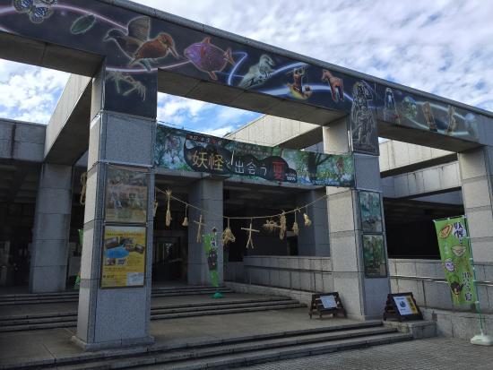 千葉県立中央博物館